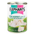 Jackfruit Green in pieces 540gr Twin Elephants