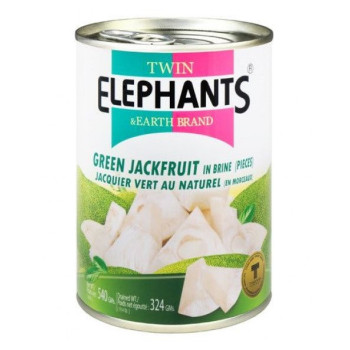 Jackfruit Green in pieces 540gr Twin Elephants