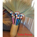 Philippine Broom / Walis Tambo