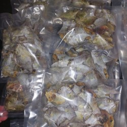 Dried Fish  Danggit Unsalted (circa. 80-82g)