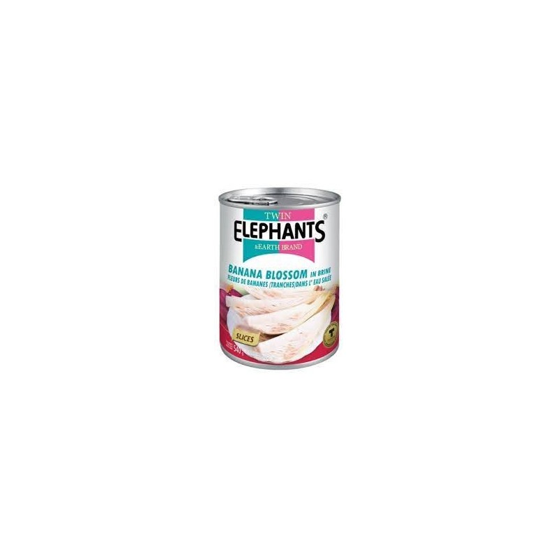 Banana Blossoms (Puso ng saging) 540gr Twin Elephant