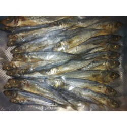 Dried Galunggong 200gr