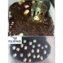 Pre-order Chocolate Moist Cake in tub