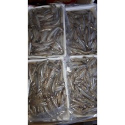 Anchovies Fish 500gr.
