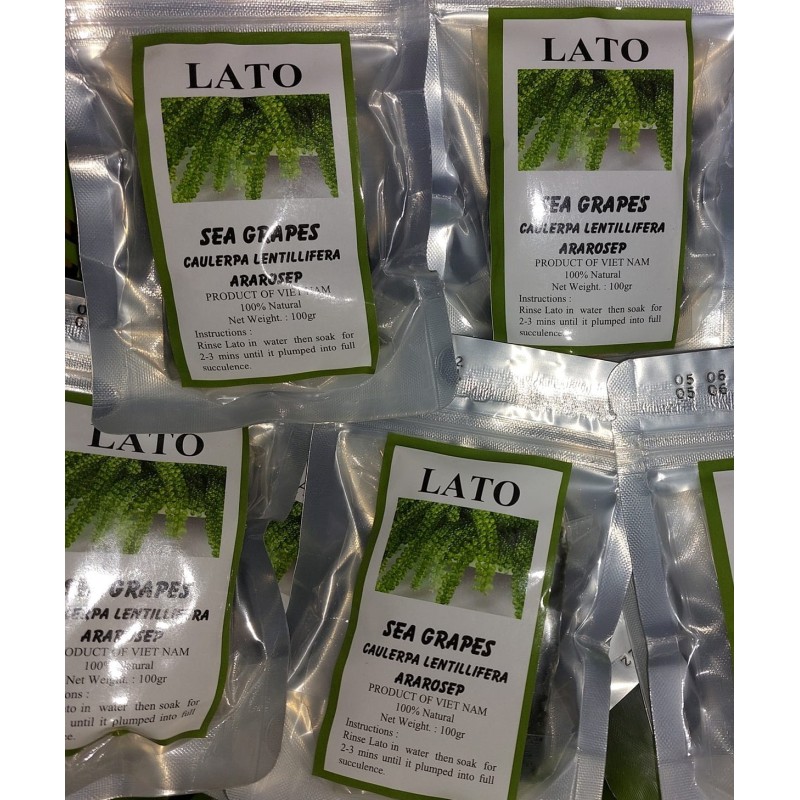 Sea Grapes / Lato 100gr- LATO