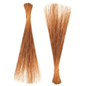Philippine Broom (Walis ting2x)