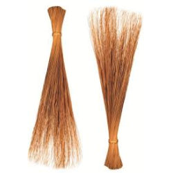 Philippine Broom (Walis ting2x)