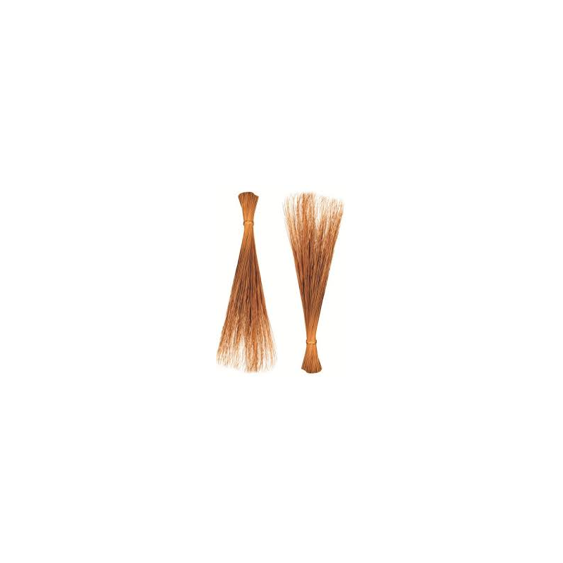 Philippine Broom (Walis ting2x)