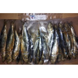 Dried Tuyo / Tunsoy / Salinas / Tamban Approx. 100gr.