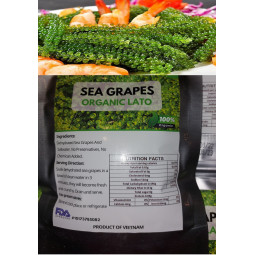 Sea Grapes Organic (Lato)...