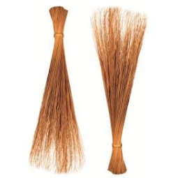 Philippine Broom (Walis...