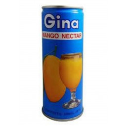 Mango Nectar Drink 240ml Gina